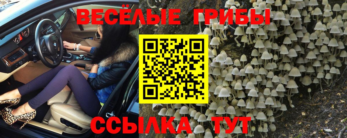 Галлюциногенные грибы Magic Shrooms Кириши