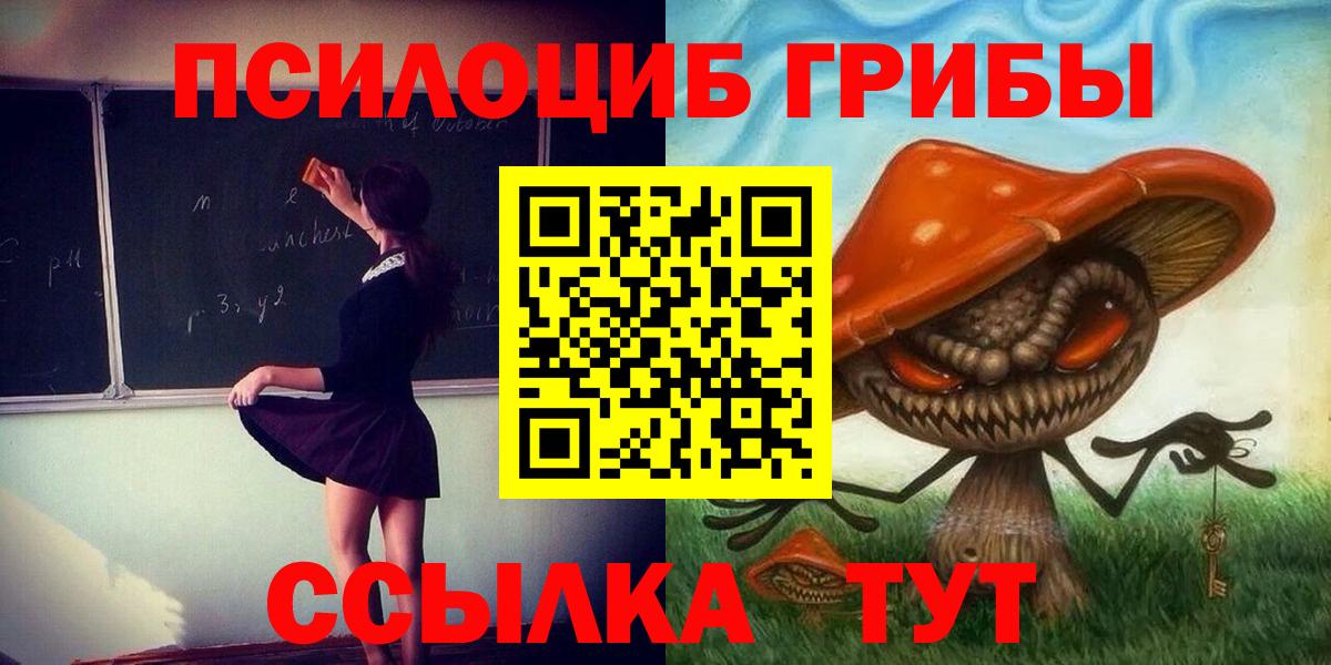 Галлюциногенные грибы Psilocybe  Вход с VPN  Кириши 