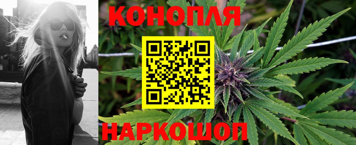 Бошки Шишки планчик Кириши